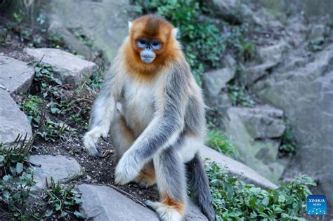 玉合公園究竟如何：探訪之後的感受分享